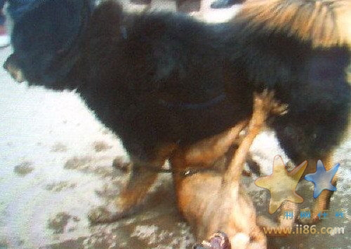 比特最终终于臣服