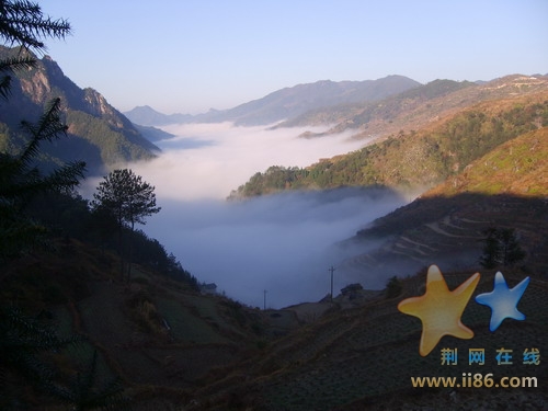 永嘉西源大雾天气