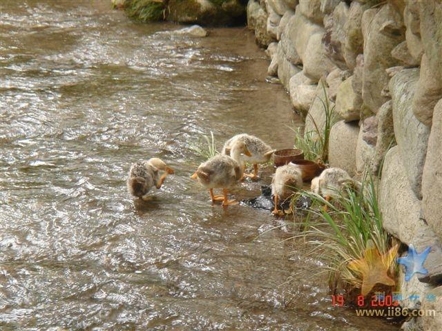 Qunli-Yandang-visit-19-08-05 007.jpg