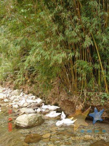 Qunli-Yandang-visit-19-08-05 006.jpg