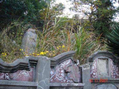 116d8d5231e.jpg