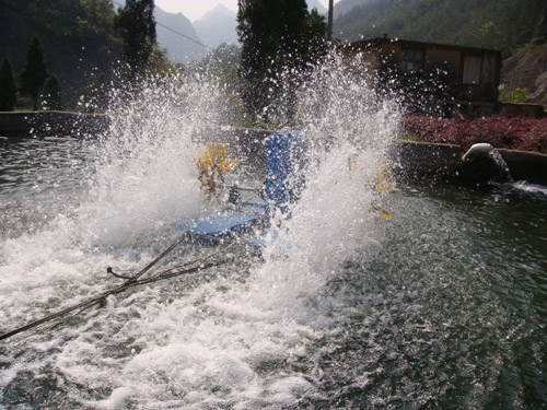 124.jpg