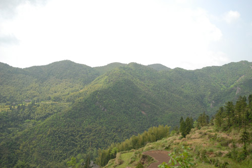 DSC_0047.jpg
