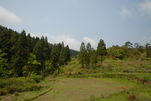 DSC_0016.jpg