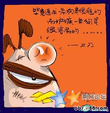 毕竟追求一条狗是很难的 而嫉妒一条狗是很容易的……