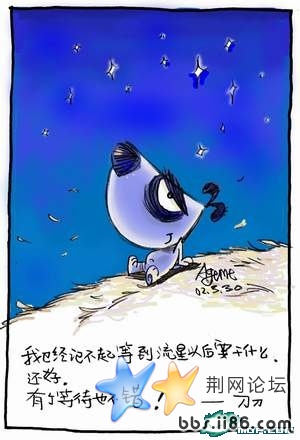 我已经记不起等到流星以后要干什么 还好 有了等待也不错