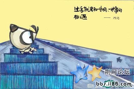 生活就是和一些狗 一些事的相遇