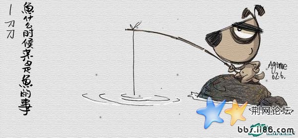 鱼什么时候来是鱼的事