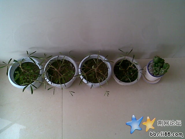 旋转 图像021.jpg