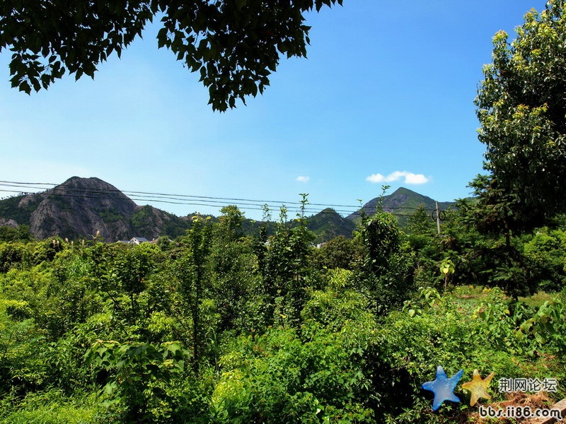 我讨厌架空电缆