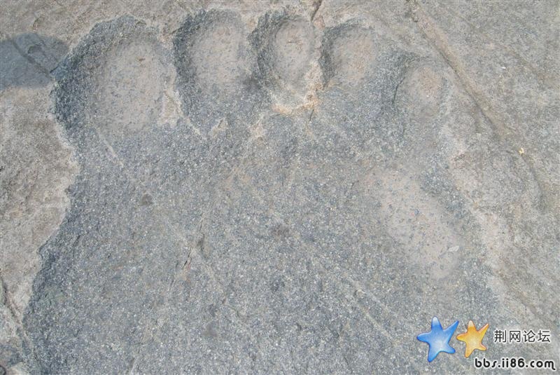 SNV81465 (中等).JPG