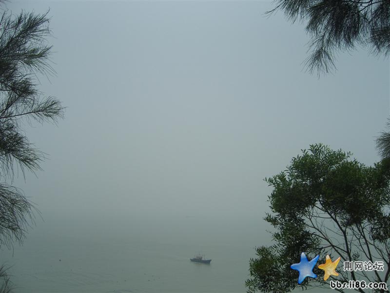 SNV81451 (中等).JPG