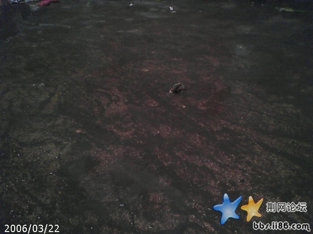 这就是我的惊喜1