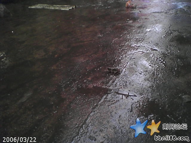 这就是我的惊喜