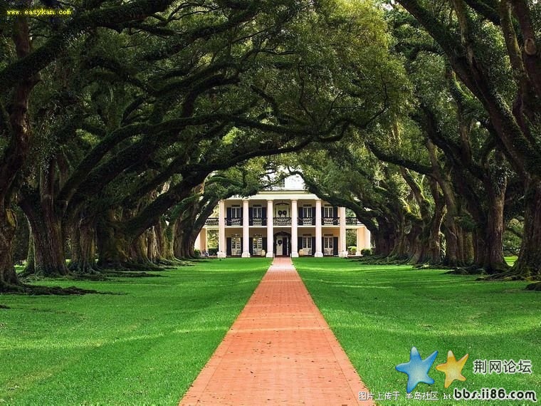 美国路易斯安那州橡树园酒店