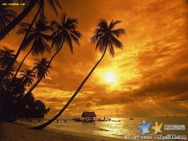 特立尼达和多巴哥海滨风光