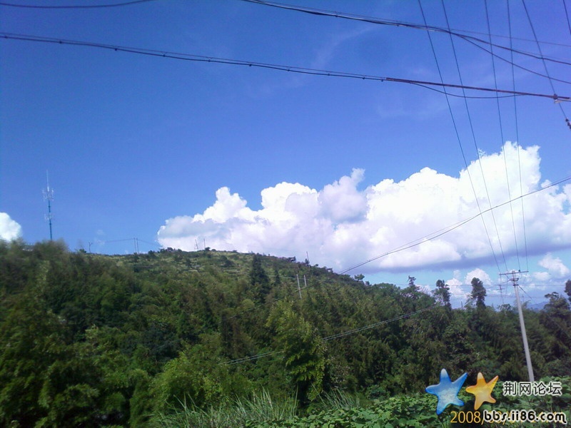IMAGE_00008.jpg