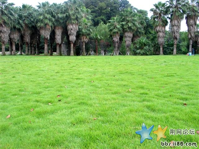 睡在那里很舒服哦！