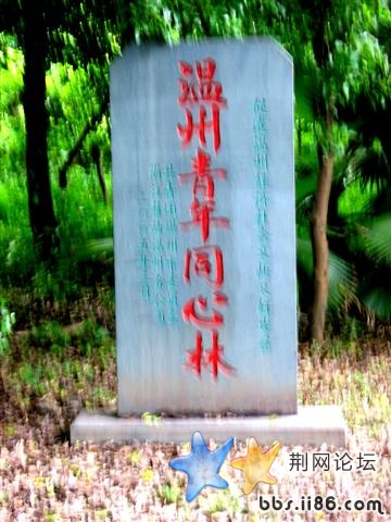 同心林，很不错的哦！！