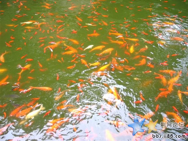 无忧无虑，好羡慕啊！