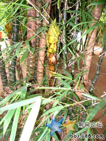 高兴死我了！开心