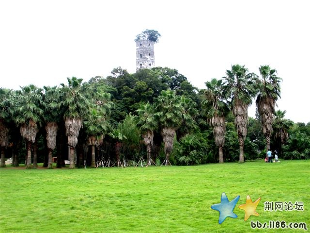 漂亮，蓝天，草地，白云！舒服