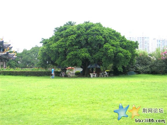 猜猜我几岁了哦！！