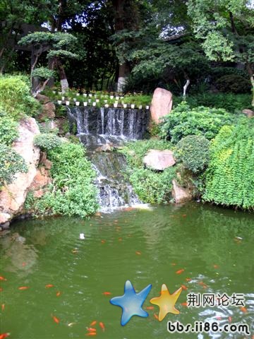 漂亮吧，好舒服的池塘啊！！