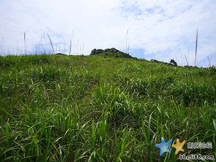 P1020540.JPG