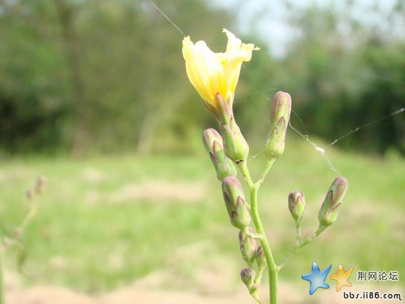 挣脱命运的束缚,展示生命的美丽
