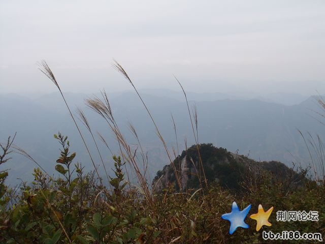 DSC05556.JPG
