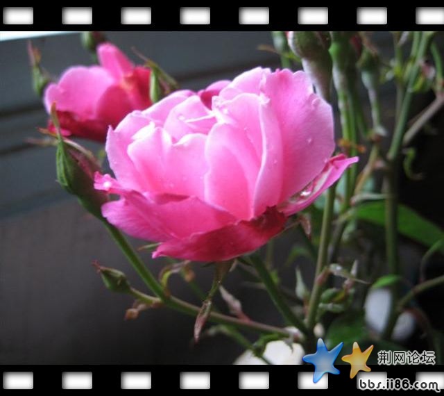 144678138030038139 (小).jpg