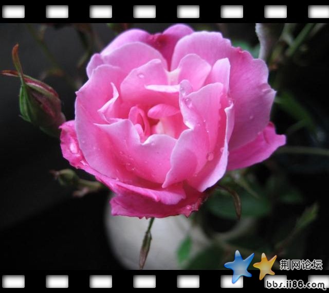 145522562960159100 (小).jpg