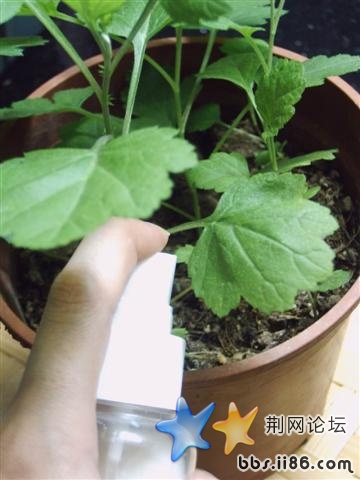 185_166351_c2832953bc2da0f (小).jpg