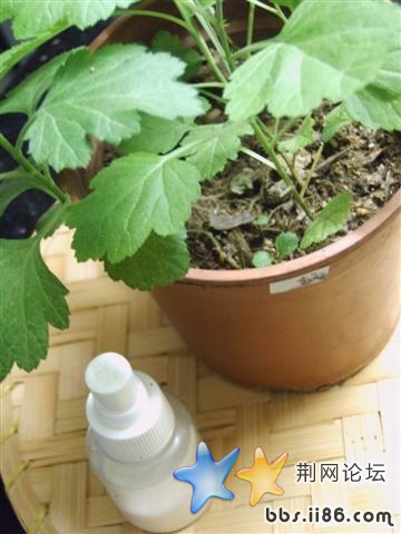 185_166351_e4d821730cf2295 (小).jpg