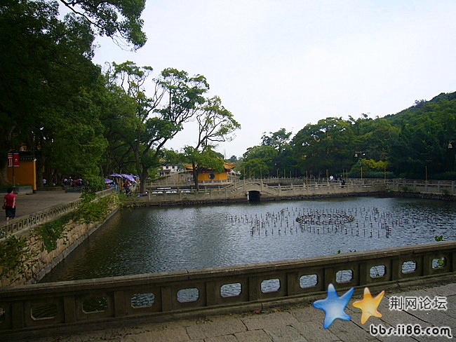 P1040282.JPG