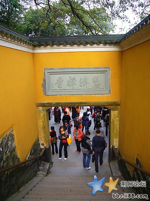 P1040170.JPG