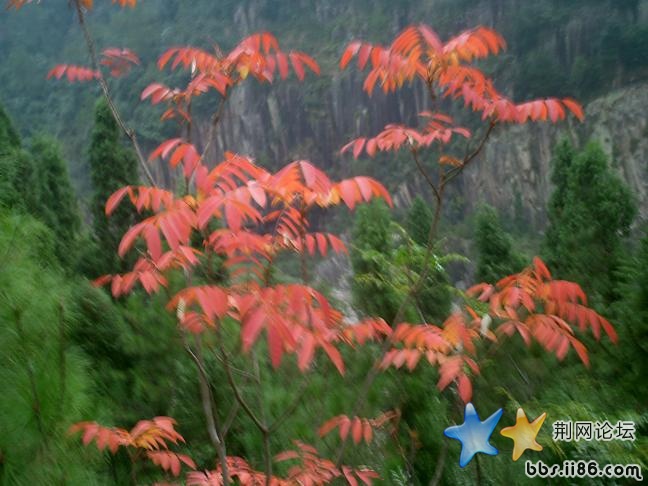 PICT0093.JPG