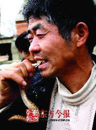 村民生吃活蛇上瘾 就啤酒吃得津津有味1.jpg