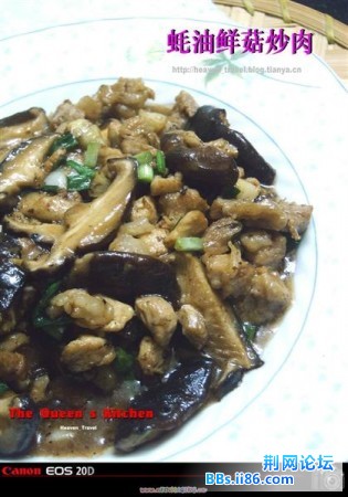 1228756454_0 (中等).jpg