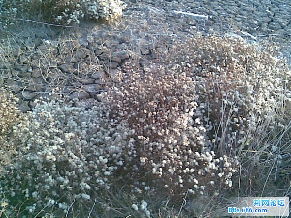 旋转 图像046.jpg