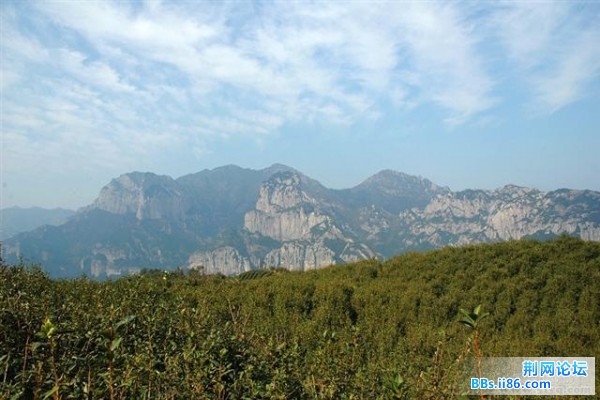 20081221_e3714cf24884e3901eaefH4WEFNcADnW (小).jpg