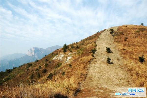 20081221_29c62b863d71d1e94d56vJoc5dvmFJzO (小).jpg