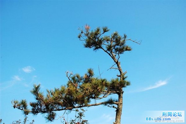 20081221_4de5399f05c28eee37abHco83u122QZq (小).jpg