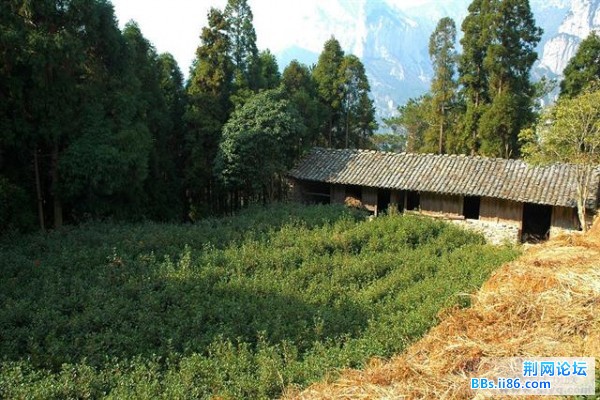 20081221_cf244951f270532db3a2XJbRvh23UCAW (小).jpg