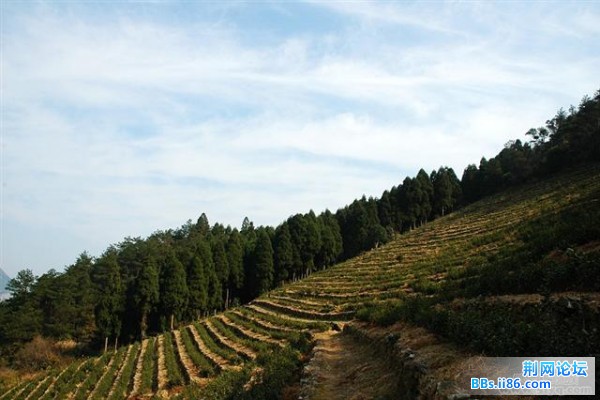 20081221_83a9da9a78077b55752cWRKNMvkanG6H (小).jpg