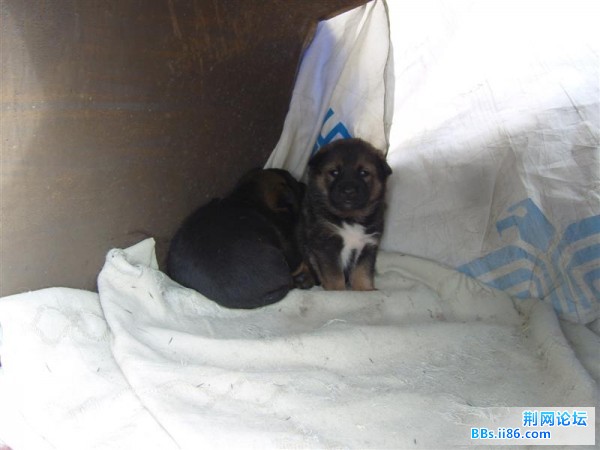 SNV82622 (中等).JPG