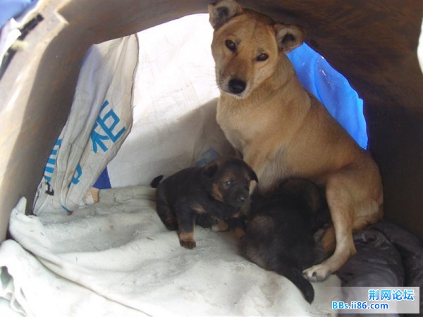 SNV82623 (中等).JPG