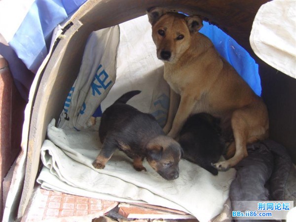 SNV82624 (中等).JPG