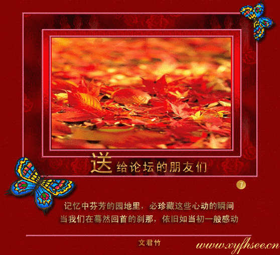 20080426_acaf077cc14d63017593h6H35ryhM63A.gif